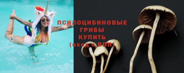 бутират Баксан
