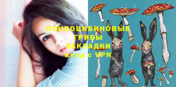 ECSTASY Балабаново